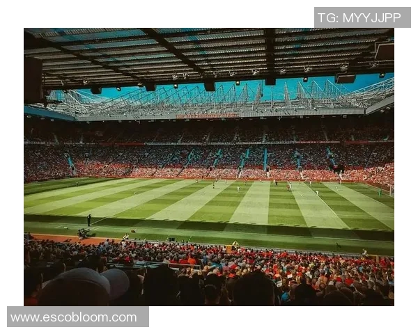 带亚的足球明星们如何在绿茵场上书写传奇与荣耀的篇章